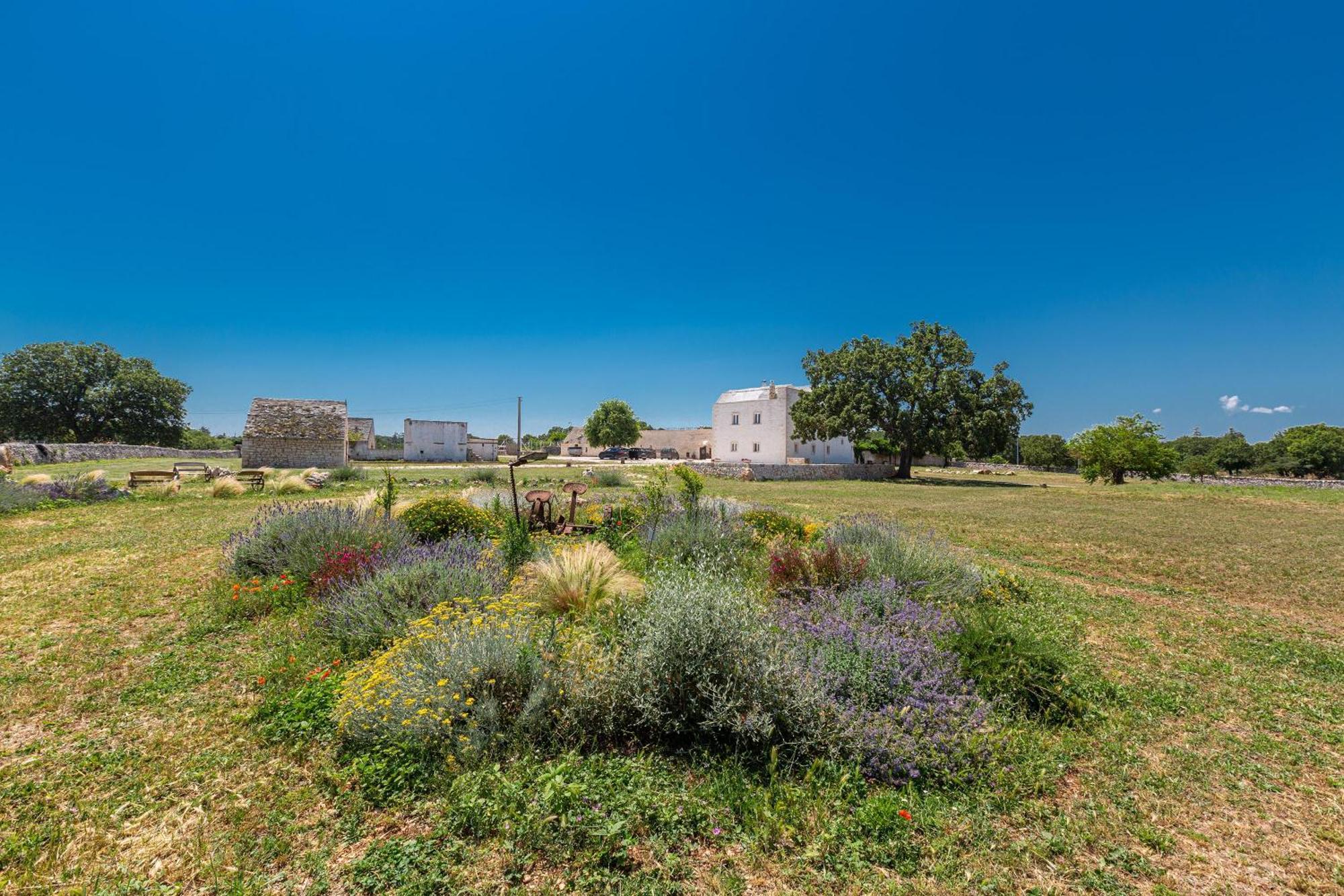 Masseria Nicola Casavola Martina Franca Buitenkant foto